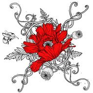 Poppies isolated on white N4