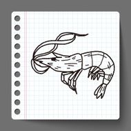 shrimp doodle N14