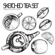 Hand drawn sketch vector tea set N21