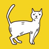 cat doodle N15