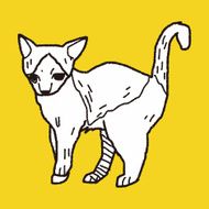 cat doodle drawing N130