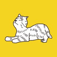 cat doodle drawing N131