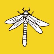 Dragonfly doodle N7