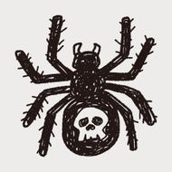 spider doodle N22