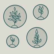 Doodle sketch plant