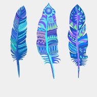 Bright colored feathers Tribal Ethnic vectors