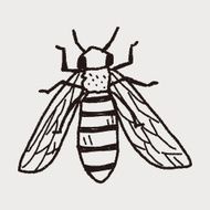bee doodle N12