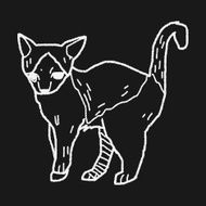 cat doodle drawing N134