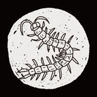 Centipede doodle N6