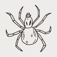 spider doodle N23