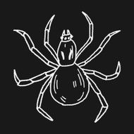 spider doodle N24