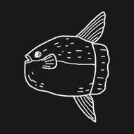 Sunfish doodle N7