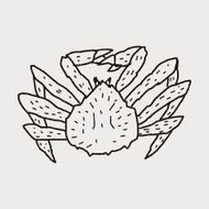 Crab doodle N26