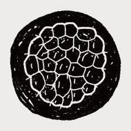 Custard apple doodle N12