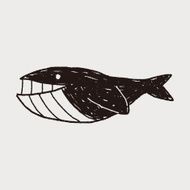 Whale doodle N16