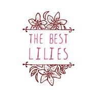 Handsketched typographic element with lilies
