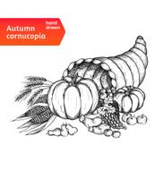 Cornucopia Horn of plenty with autumn harvest symbols