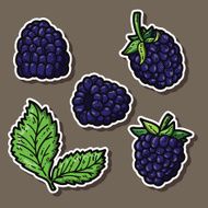 cute blackberries N3