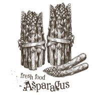 asparagus vector logo design template fresh vegetables food or cooking