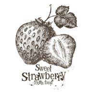strawberry vector logo design template fresh berry food or harvest