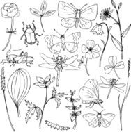 big set of meadow objects