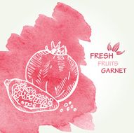 Watercolor background with garnet in vector