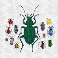 Bright vector set with colorful bugs