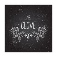 Herbs and Spices Collection - Clove N6