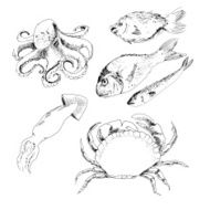 Seafood