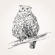 sketch of owl N2