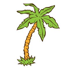 Coconut palm tree isolated on a white background