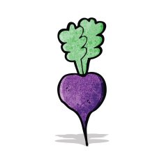 cartoon beet N2