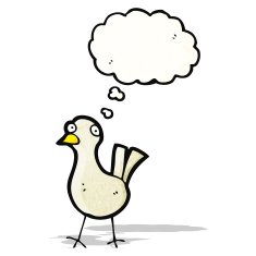 Cartoon Bird N311
