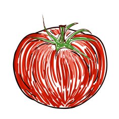 Watercolor tomato