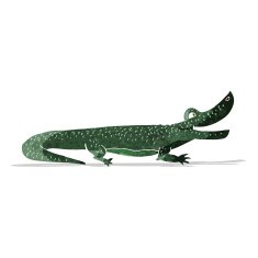 cartoon happy crocodile N7