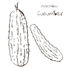 cucumber N2