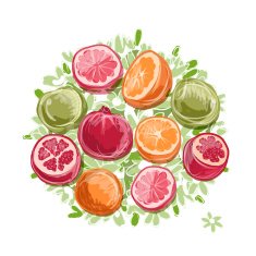Frame made from fruits sketch for your design