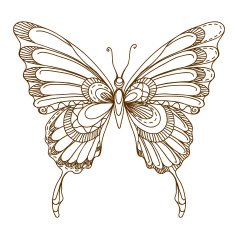 butterfly N15