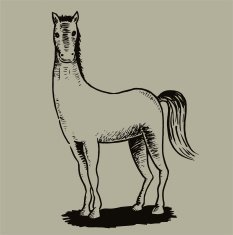 Horse N21