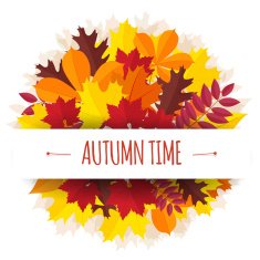 bouquet from autumn leaves with a paper tape