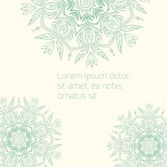 Floral abstract ornament vector illustration N25