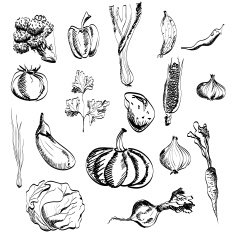 Hand drawn vegetables set