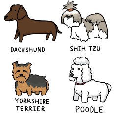 vector set of dogs N7