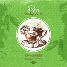 Tea vintage background Hand drawn sketch illustration Menu des N22