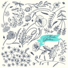 Herb&flowers N3