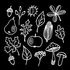 Set of chalk autumn fall elements various leaves apple pear