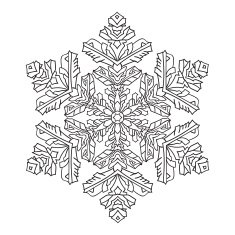 Hand-drawn doodles natural snowflake mandala style N3