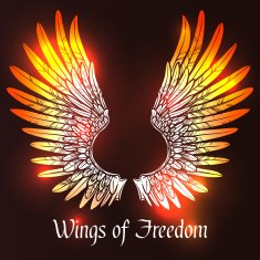 Wings Sketch Illustration