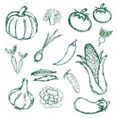 simple hand drawn doodle vegetables icons eps10