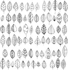 set of decorative abstract leaves